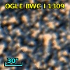 OGLE BWC   I   1309