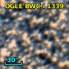 OGLE BWC   I   1339