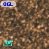 OGLE BWC   I   1371