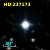 HD 237173