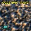 OGLE BWC   I   1442