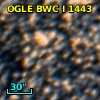 OGLE BWC   I   1443