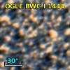 OGLE BWC   I   1444