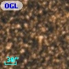 OGLE BWC   I   1593