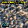 OGLE BWC   I   1604