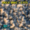 OGLE BWC   I   1775