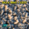 OGLE BWC   I   1827