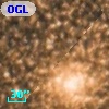 OGLE BWC   I   2021