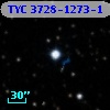 TYC 3728-1273-1