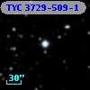 TYC 3729-509-1