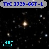 TYC 3729-667-1
