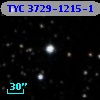 TYC 3729-1215-1