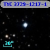 TYC 3729-1217-1