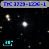 TYC 3729-1236-1