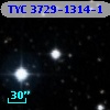 TYC 3729-1314-1