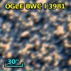OGLE BWC   I   3981