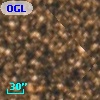 OGLE BWC   I   4219