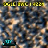 OGLE BWC   I   4224