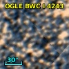 OGLE BWC   I   4243
