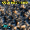OGLE BWC   I   4289