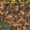 OGLE BWC   I   4429