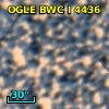 OGLE BWC   I   4436