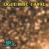 OGLE BWC   I   4491