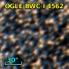 OGLE BWC   I   4562