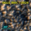 OGLE BWC   I   4824
