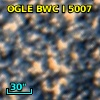 OGLE BWC   I   5007