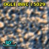 OGLE BWC   I   5029
