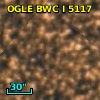 OGLE BWC   I   5117