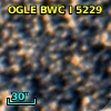 OGLE BWC   I   5229