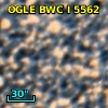 OGLE BWC   I   5562