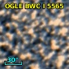 OGLE BWC   I   5565