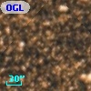 OGLE BWC   I   5660