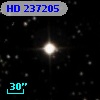 HD 237205