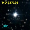 HD 237195