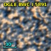 OGLE BWC   I   5891