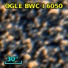 OGLE BWC   I   6050
