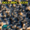 OGLE BWC   I   6239