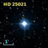 HD  25021