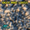 OGLE BWC   I   6655