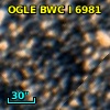 OGLE BWC   I   6981
