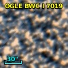 OGLE BWC   I   7019