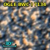 OGLE BWC   I   7134