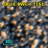 OGLE BWC   I   7161