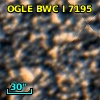 OGLE BWC   I   7195