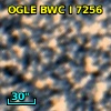 OGLE BWC   I   7256