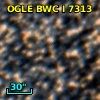 OGLE BWC   I   7313